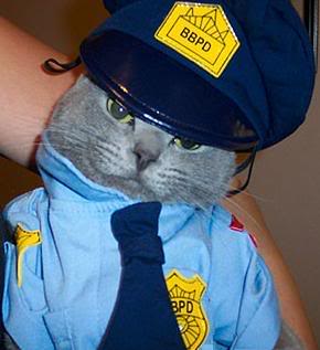 cat-cop.jpg