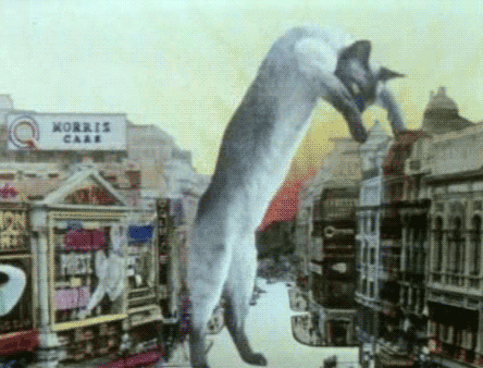 http://thewhorechurch.com/wp-content/uploads/2013/01/caturday-building-eat.gif